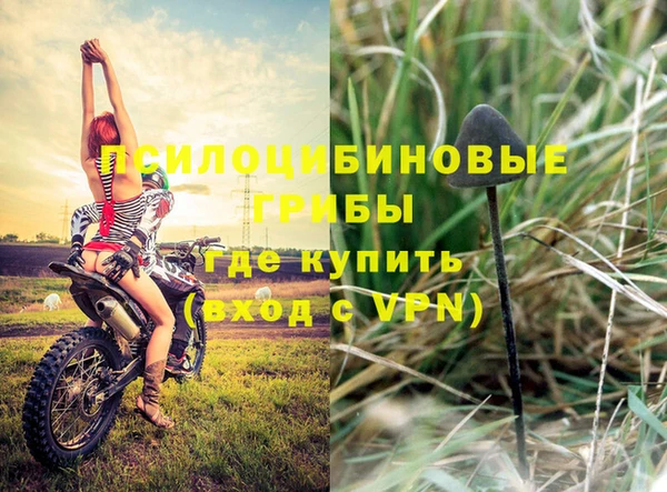 MDMA Premium VHQ Бронницы